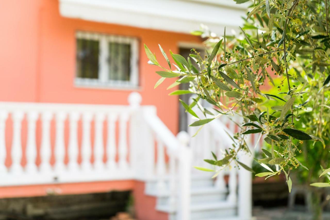알리케스 2 Bed House With Mountain View 아파트 외부 사진